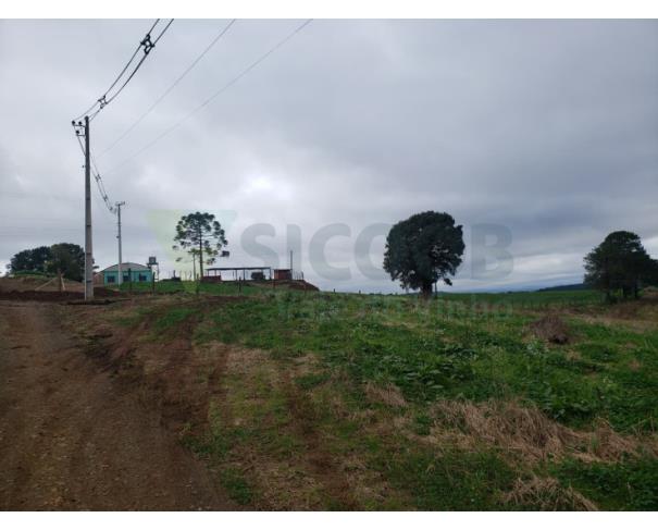 Foto de 1
