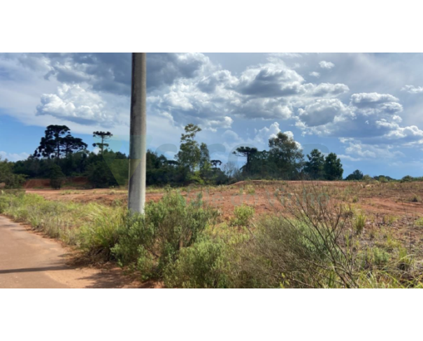 Foto de 004