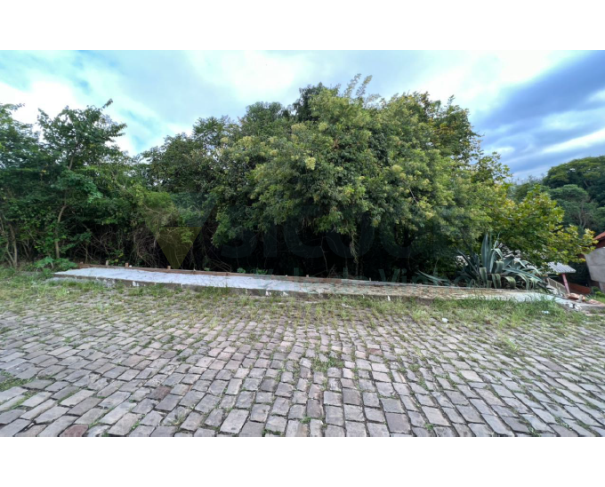 Foto de 008