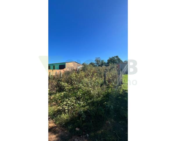 Foto de 1