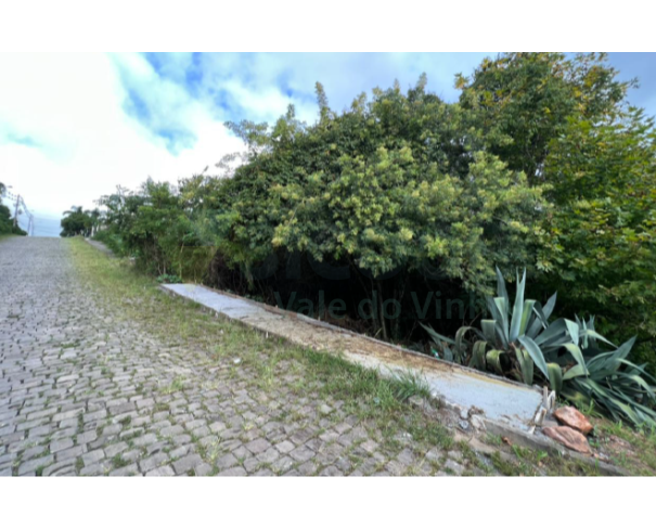 Foto de 008